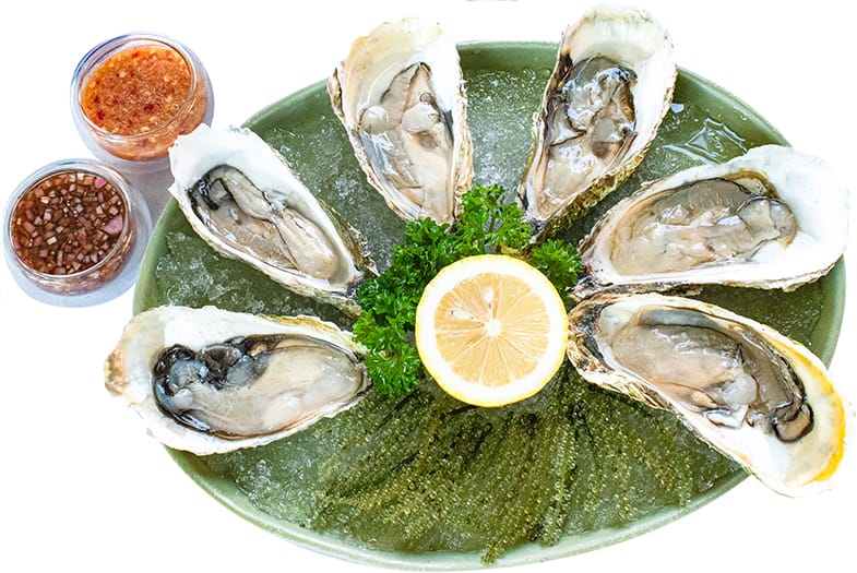 Fine de Claire Oyster (French) - Food Menu of Abacus Restaurant